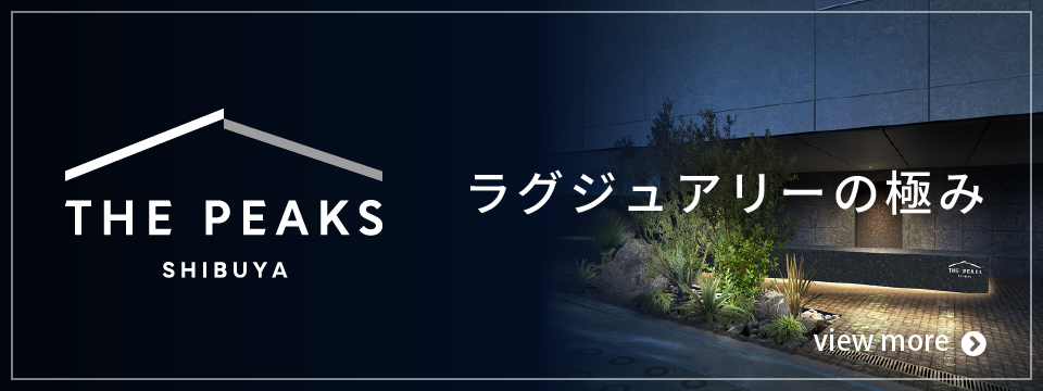 THE PEAKS SHIBUYA