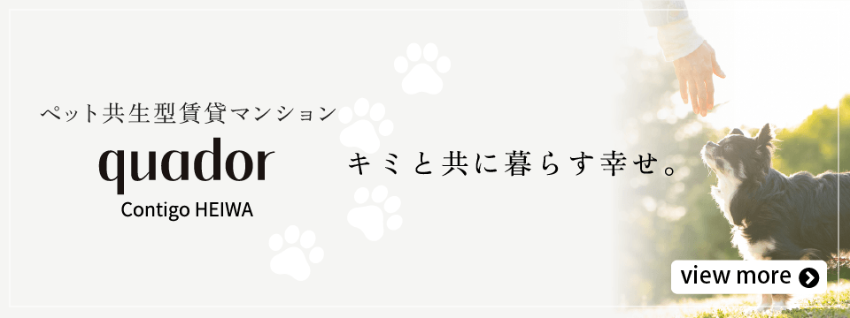 quador Contigo 平和