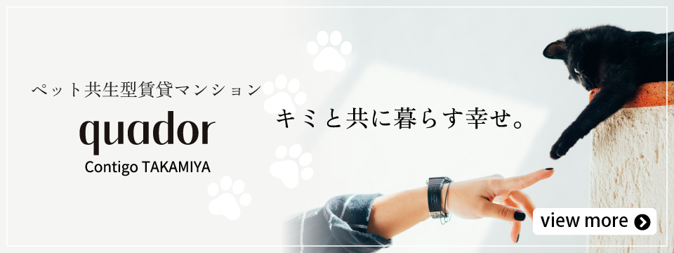quador Contigo 高宮